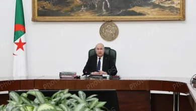 صورة تشديد اجراءات مكافحة المضاربة.. جمعيات ومنظمات تثمن تعليمات رئيس الجمهورية