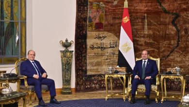 صورة سيفي غريب يستقبل من قبل الرئيس عبد الفتاح السيسي