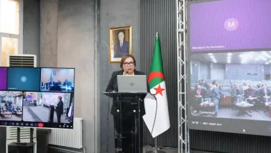 صورة الجزائر تراهن على التكوين المهني لتأهيل الموارد البشرية لمشاريع منجم غارا جبيلات