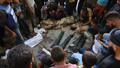صورة صحة غزة:  ارتفاع شهداء التجويع الإسرائيلي إلى 193 بينهم 96 طفلا