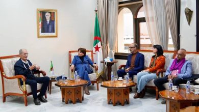 صورة بن دودة تواصل لقاءاتها التشاركية مع مهنيي الفن السابع..رهان على بلورة مشروع ثقافي سينمائي منظم ومستدام