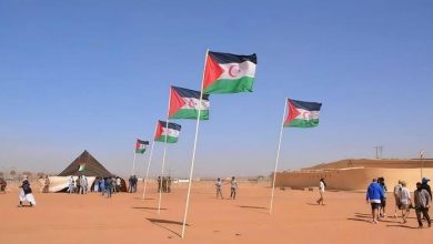 صورة الصحراء الغربية : دعوة إلى المشاركة في حملة دولية ضد تصوير فيلم بمدينة الداخلة