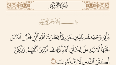 صورة {فَأَقِمْ وَجْهَكَ لِلدِّينِ حَنِيفًا} …ميثاق الفطرة