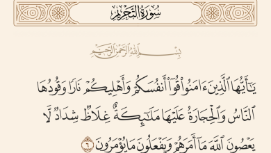 صورة .. قُوا أَنفُسَكُمْ وَأَهْلِيكُمْ نَارًا