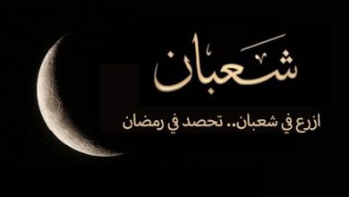صورة الاجتهاد في شعبان.. سبيل الفوز في رمضان