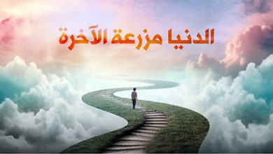 صورة الدنيا مزرعة الآخرة