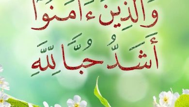 صورة “والذين آمنوا أشد حبا لله”..صلاح العبد بصلاح القلب