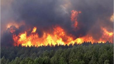 صورة فاروق عاشور:  تم إخماد 30 حريقا على مستوى 15 ولاية خلال 24 ساعة