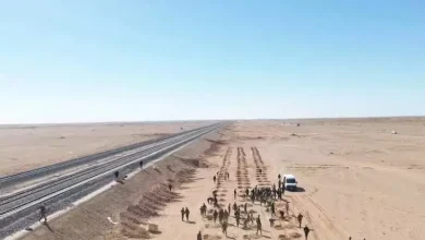 صورة حملة تشجير متواصلة بمحور السكة الحديدية بشار–تندوف–غارا جبيلات لتعزيز البعد البيئي للمشاريع الاستراتيجية