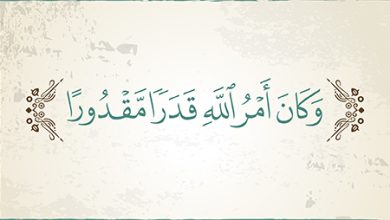 صورة حقيقة الإيمان بِالْقَدَرِ والنهي عنِ الخَوْضِ فيه