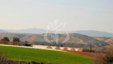 صورة الإحصاء العام للفلاحة: تسجيل أزيد من 230 ألف مستثمرة فلاحية جديدة