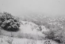 صورة رياح قوية وثلوج كثيفة على عدة ولايات: الأرصاد الجوية تطلق تنبيهات من المستوى الثاني