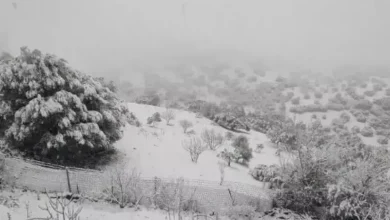 صورة رياح قوية وثلوج كثيفة على عدة ولايات: الأرصاد الجوية تطلق تنبيهات من المستوى الثاني