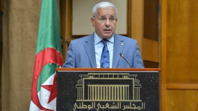 صورة بوغالي: الاهتمام بالذاكرة الوطنية واجب مقدس لا يقبل المساومة