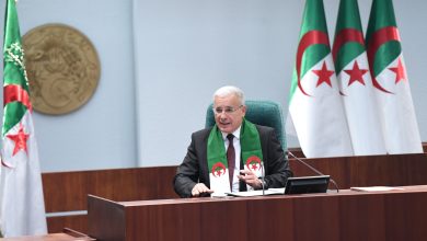 صورة تتطلب مقاربة متعددة الأبعاد..الوقاية من خطر المخدرات مسؤولية وطنية شاملة