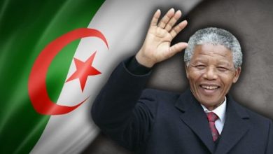 صورة نيلسون مانديلا والجزائر.. علاقة وثيقة ومميزة