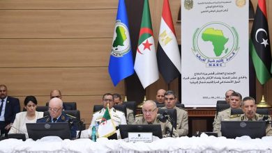 صورة الفريق أول السعيد شنقريحة: الجزائر رافعت من أجل تبني مقاربة إفريقية جديدة تتعلق بمكافحة الإرهاب