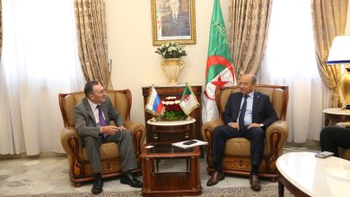 صورة بحث علاقات التعاون بين الجزائر وفدرالية روسيا