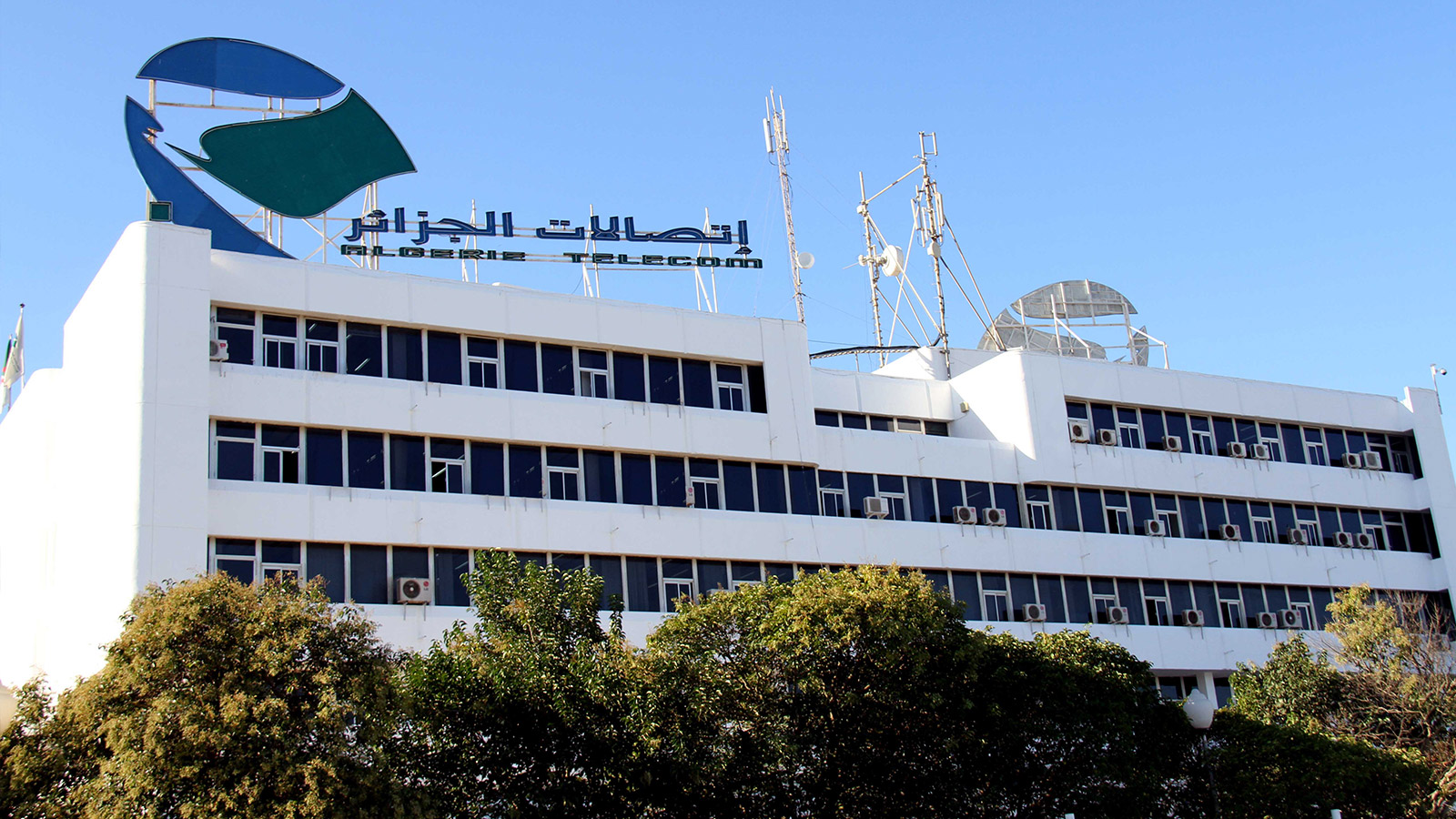 صورة اتصالات الجزائر تؤكد حرصها على الاستجابة لاحتياجات زبائنها بوضع خدمات عن بعد تحت تصرفهم