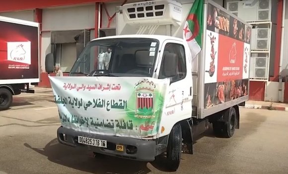 صورة موالو الجلفة يتبرعون بزهاء 200 رأس من الأغنام لمواطني البليدة