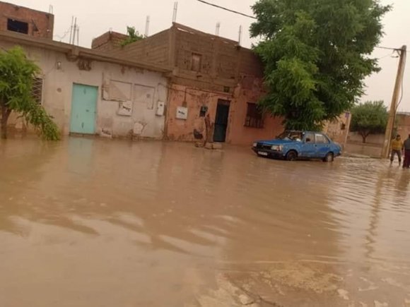 صورة النعامة:  تساقط كثيف للأمطار يكبد القطاع الفلاحي العديد من الخسائر