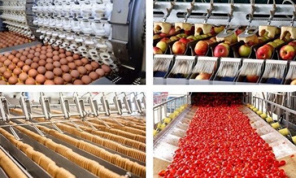 صورة ورقلة: آفاق واعدة لتطوير قطاع الصناعات الزراعية الغذائية