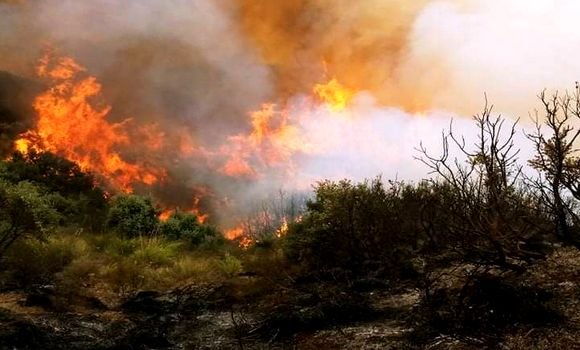صورة حرائق الغابات بتيبازة: تضرر 45 مسكنا منها 20 احترقت عن آخرها