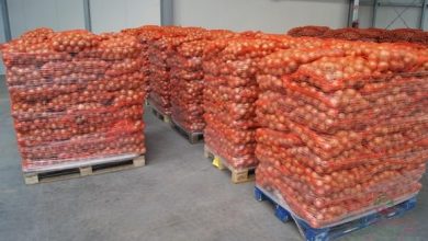 صورة تصدير 26 طنا من البطاطس من ولاية الوادي نحو اسبانيا
