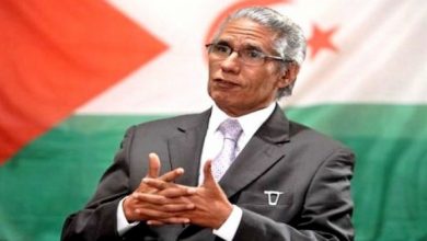 صورة الوزير المستشار المكلف بالشؤون السياسية في الرئاسة الصحراوية: جولة ولد السالك الإفريقية هدفها الرد على مغالطات المغرب ودعاياته المغرضة بشأن الصحراء الغربية
