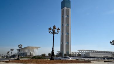 صورة رئيس الجمهورية يكلف الحكومة بوضع تصور نهائي لتسيير جامع الجزائر