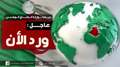 صورة مفارز الجيش الوطني: توقيف 4 عناصر إرهابية وتدمير 15 قنبلة تقليدية الصنع