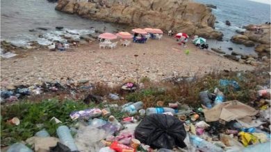 صورة التلوث البحري: مشروع جديد رفقة الاتحاد الأوروبي لمكافحة النفايات البلاستيكية