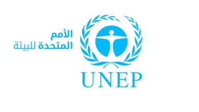 صورة إنتخاب الجزائر لعضوية لجنة الممثلين الدائمين لبرنامج الأمم المتحدة للبيئة