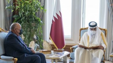 صورة مصر: السيسي يدعو أمير قطر لزيارة القاهرة في أقرب فرصة