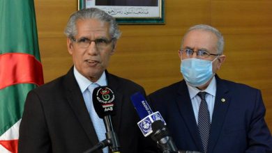 صورة وزير الشؤون الخارجية يلتقي بنظيره الصحراوي