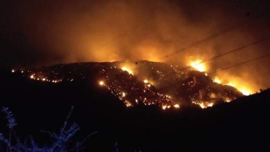 صورة البليدة:  إخماد 70 بالمائة من حريق نشب بمرتفعات الحظيرة الوطنية للشريعة
