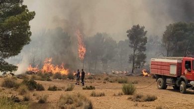 صورة تبسة: تجدد اندلاع الحرائق بغابة جبل العاطف وتوسع نطاقها