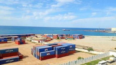 صورة ميناء مستغانم: نمو”قياسي” للصادرات خلال الأشهر الخمسة الأولى من سنة 2021