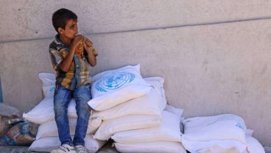 صورة فلسطين: الجبهة الديمقراطية تطالب “الأونروا” بتوضيح “اتفاق الإطار” مع أمريكا لاستلام الدعم المالي