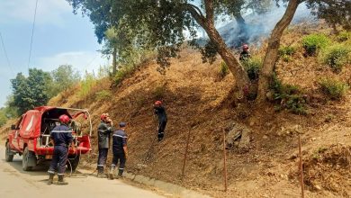 صورة سكيكدة: خلية أزمة بسيدي مزغيش للتكفل بالمتضررين من الحرائق