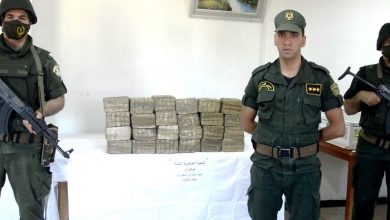 صورة وزارة الدفاع: توقيف 30 تاجر مخدرات وحجز أزيد من 300 كغ من الكيف المعالج