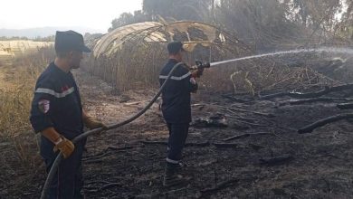 صورة إخماد 14 حريق غابات من أصل 16 بجيجل