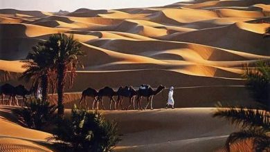 صورة سياحة صحراوية: تفاؤل بتحقيق موسم “ناجح” بأدرار وتميمون