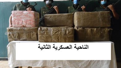 صورة إحباط محاولات إدخال 39.4 قنطار من الكيف المعالج عبر الحدود مع المغرب