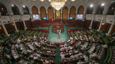 صورة خبير دستوري تونسي: إذا عاد البرلمان التونسي للعمل سيعزل الرئيس