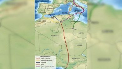 صورة نيجيريا تشرع في إنجاز خط أنبوب لنقل الغاز نحو الجزائر من أجل تصديره إلى دول أخرى