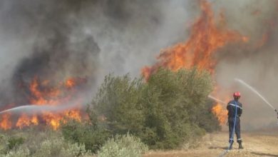 صورة بومرداس: السيطرة كليا على حرائق بني عمران وتيجلابين