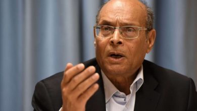 صورة المرزوقي لسعيّد:  تخليص تونس من النهضة لا يبرر فتح الباب للتدخل الأجنبي