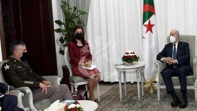 صورة رئيس الجمهورية يستقبل قائد القيادة العسكرية الأمريكية في إفريقيا