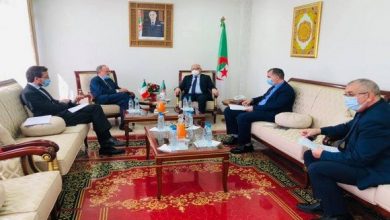 صورة الجزائر-إيطاليا: استعراض فرص التعاون الثنائي في مجال التكوين المهني